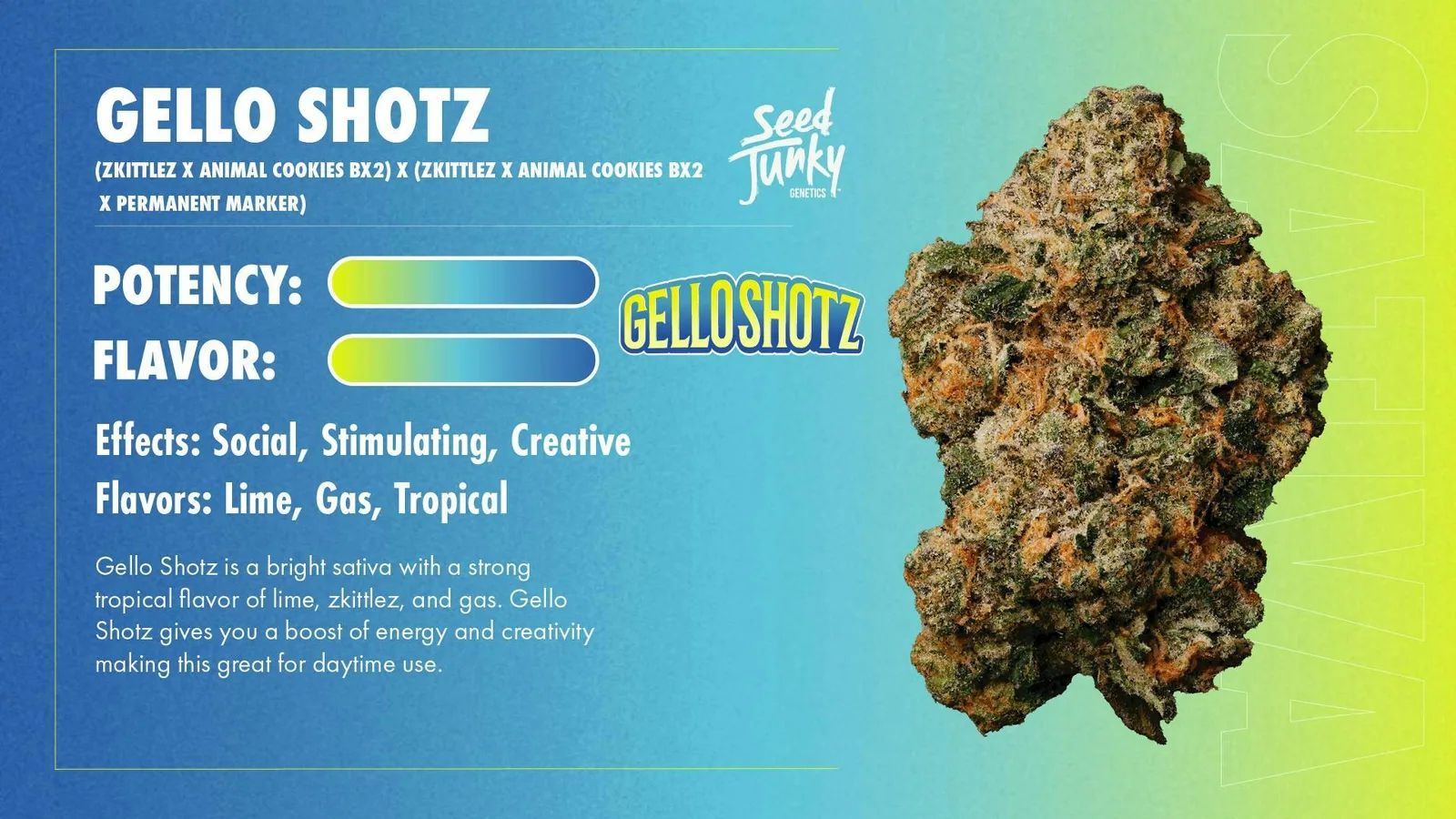 Seed Junky | Gello Shotz | Big Buds