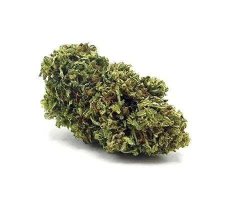 SUN GROW - ANIMAL MINTS 60G