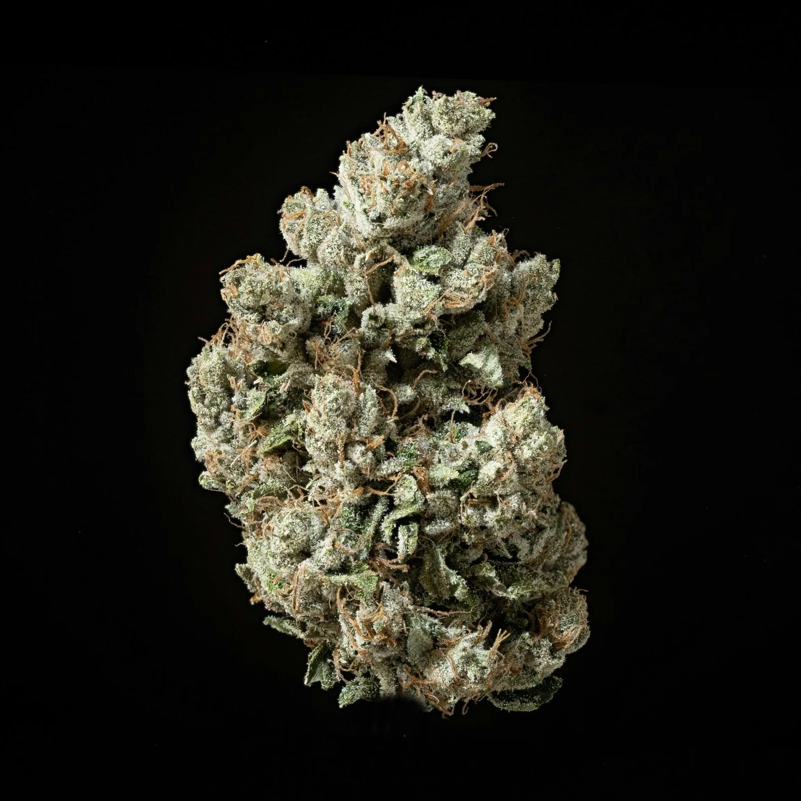 777 OG - Flower 3.5g Jar