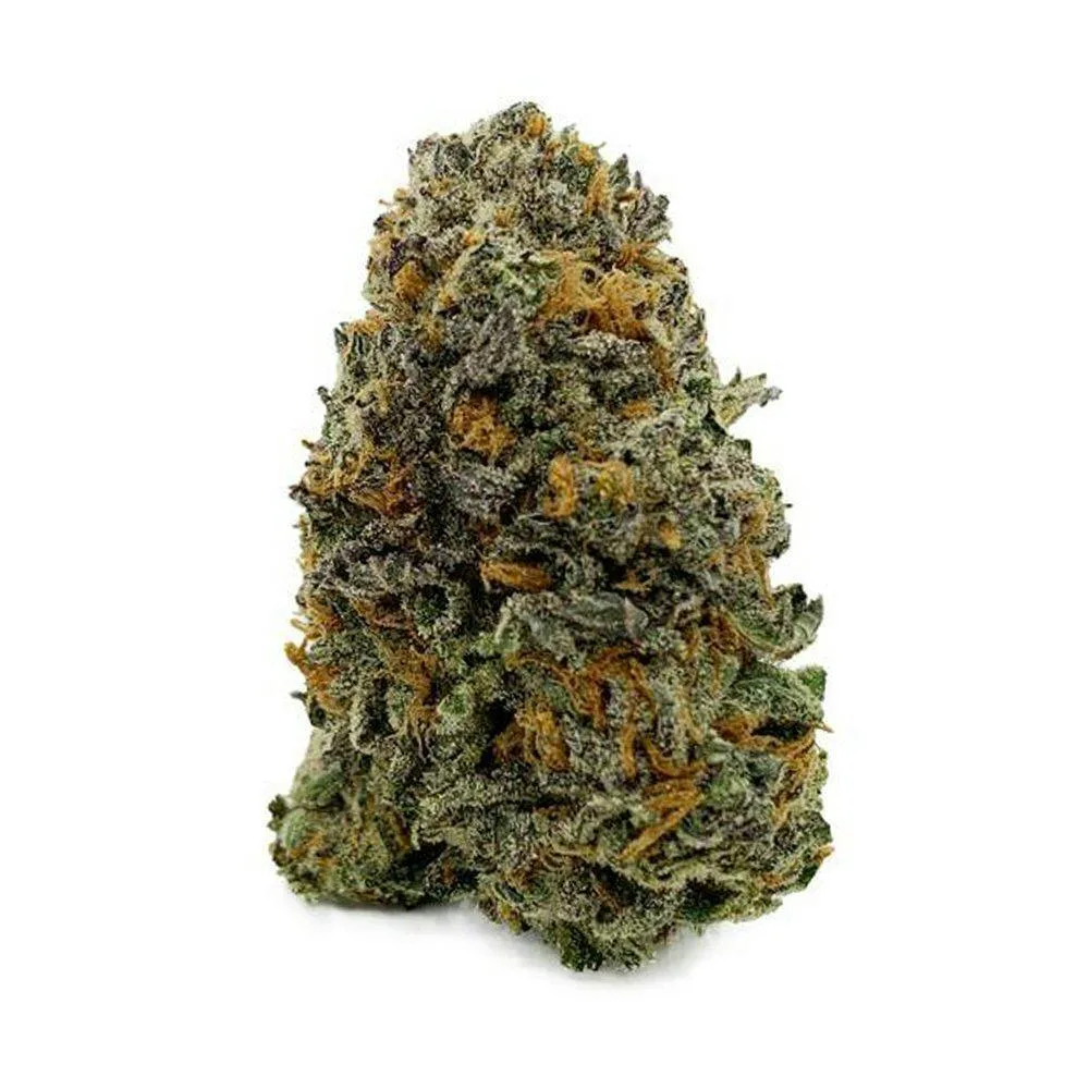 Guava Oasis 14G PREMIUM..HYBRID..(NEW DROP)