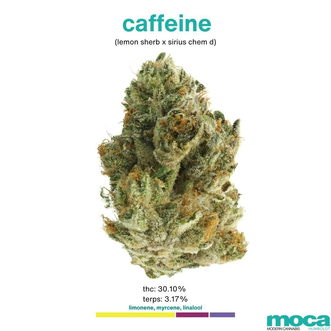 MOCA Flowers - 1/8th Mylar Bag - Caffeine