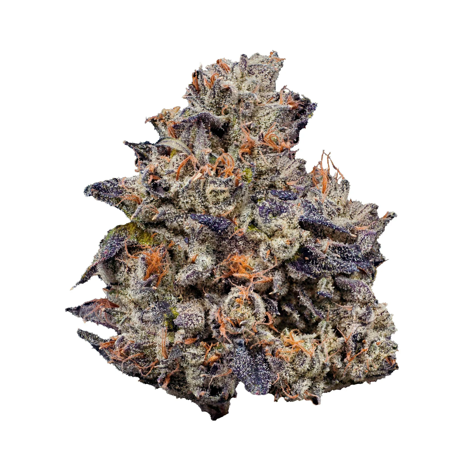 BLACK RUNTZ 14G (TOPSHELF INDOOR)