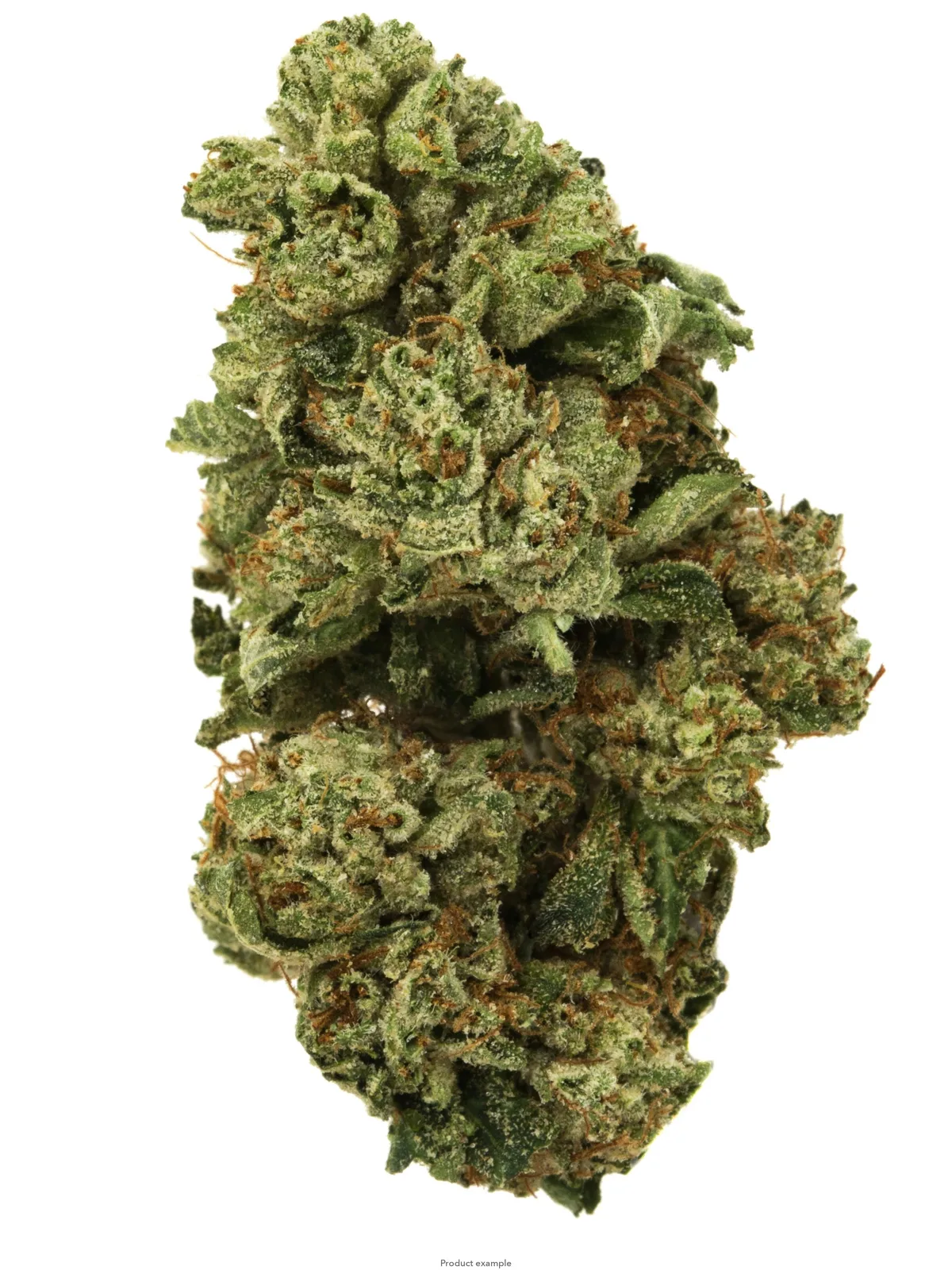 Northern Lights - 28G | BIG BUDS | Greenhouse |