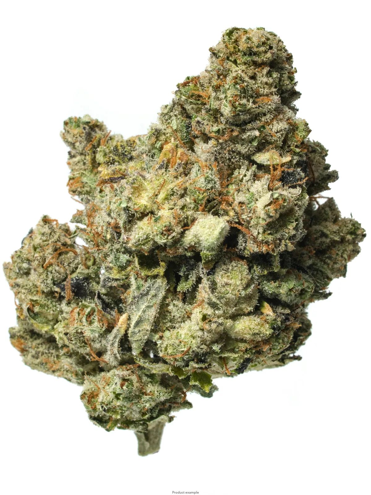 Lemon Cherry Gelato - 14G Premium Indoor Flower