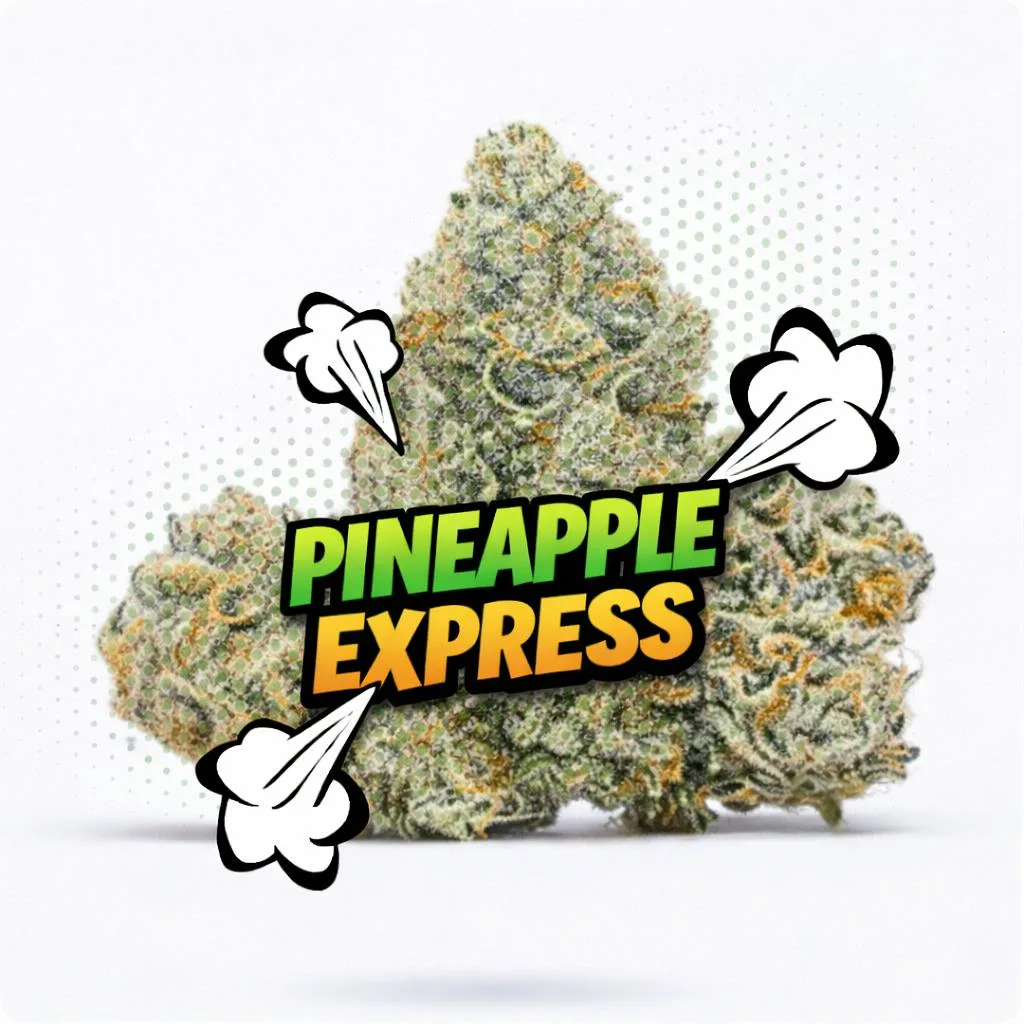 Pineapple Express - Topshelf Indoor- New Drop- Sativa