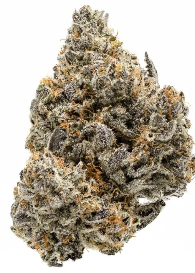 Biscotti - Hybrid - 30.94% THC