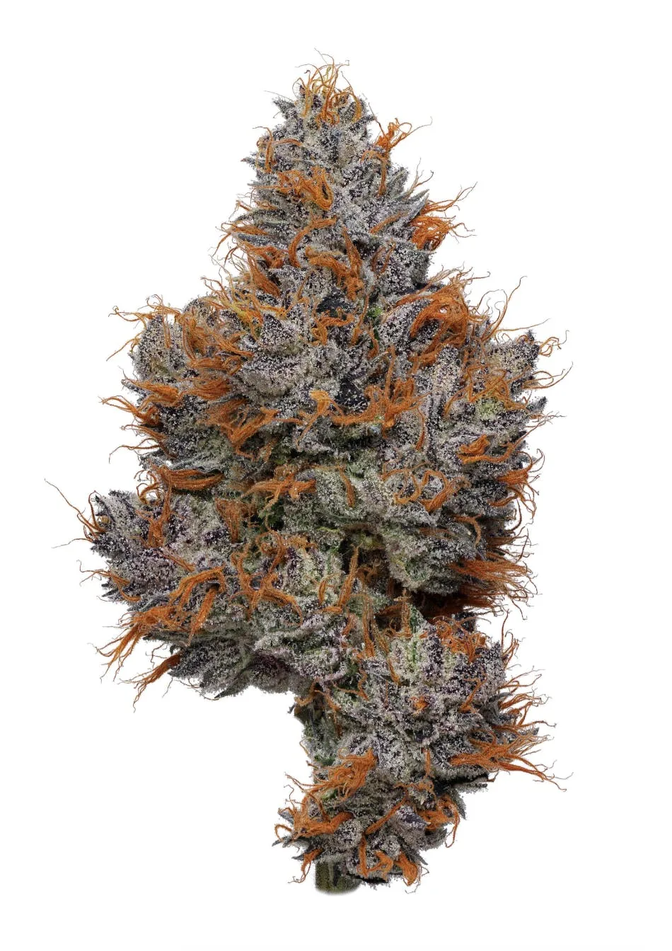 Smacked Studios | Lemon Gumball | Big Buds | 3.5g