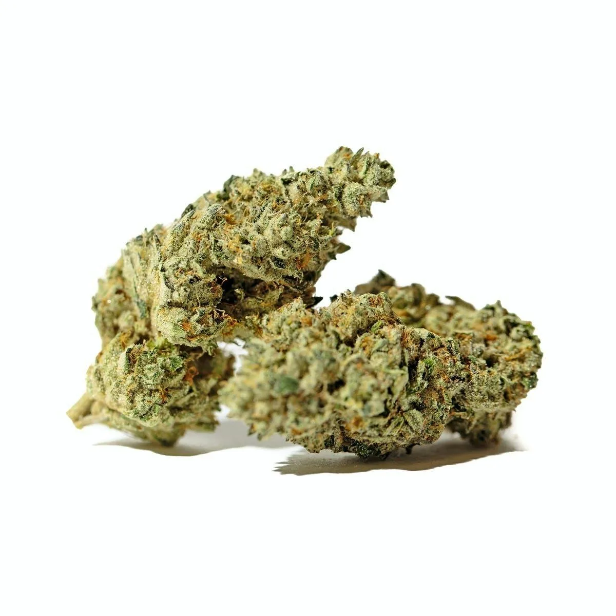 Orange Durban - SUNGROWN
