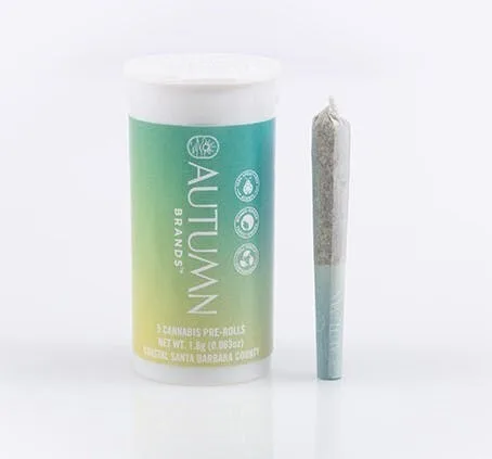 Mini Preroll 5pk Sativa Slay
