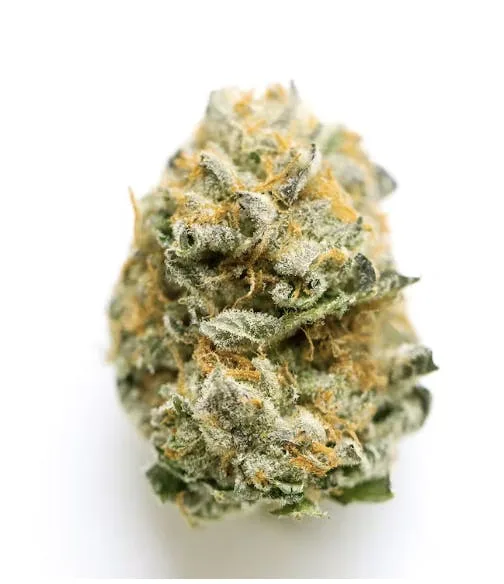 Cotton Candy - Hybrid - 32.96% THC
