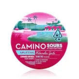 Camino - Sour Watermelon Spritz Gummies 100mg (S)