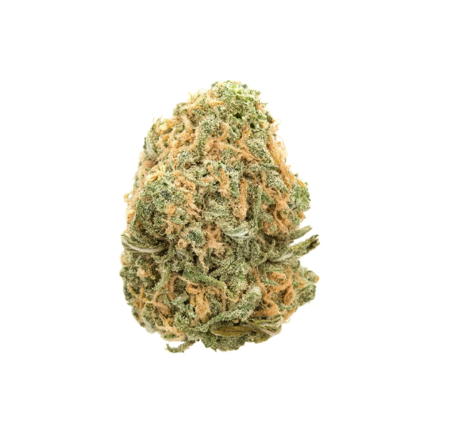 Blue Dream Sativa