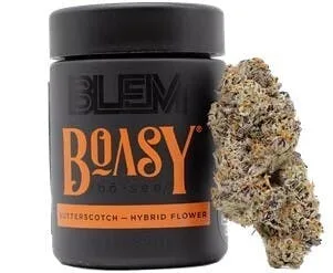 Blem | Flower | Boasy | H | 3.5g
