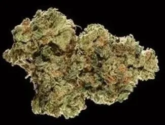 FIRE OG (INDICA) 35.07% THC TIER 1