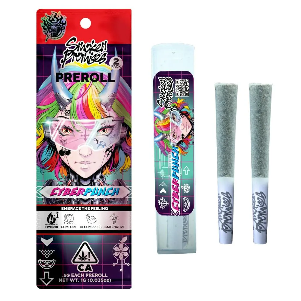 CyberPunch 2-Pack