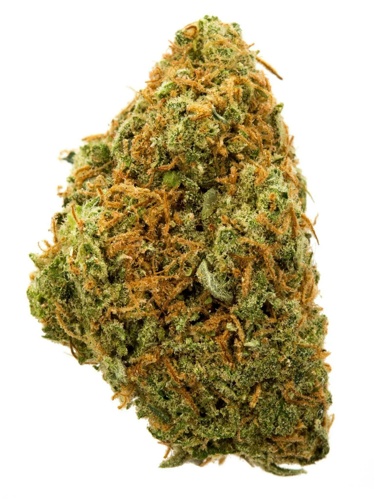 Sub Zero | Hybrid | 3.5 Grams