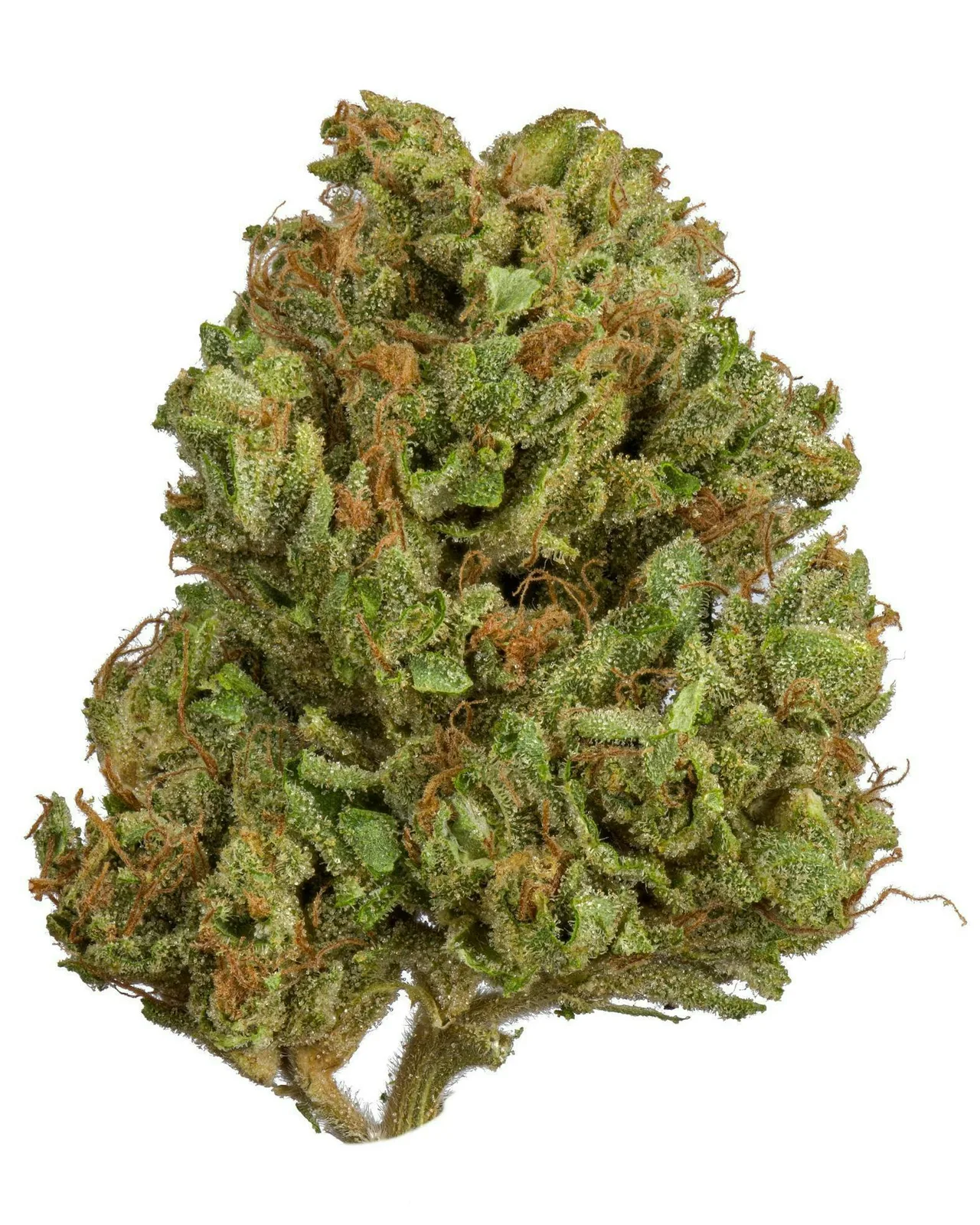 Strawberry Pop – Flower – 3.5g