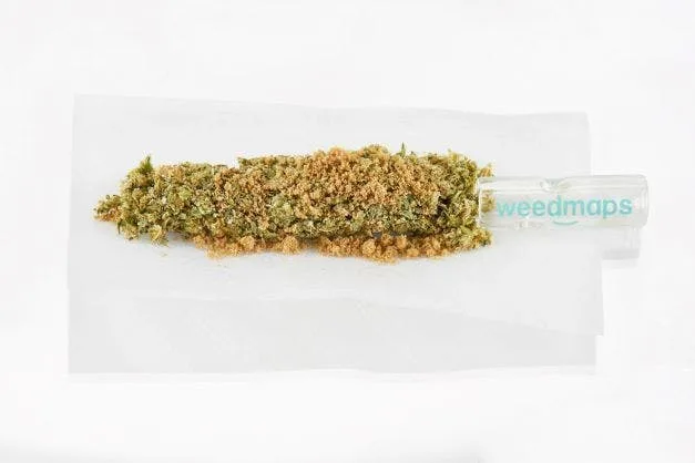 GRASSHOPPER - INFUSED PREROLL - SATIVA - 1G