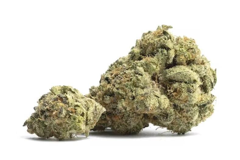 Heavy OG - Hybrid - 32% THC