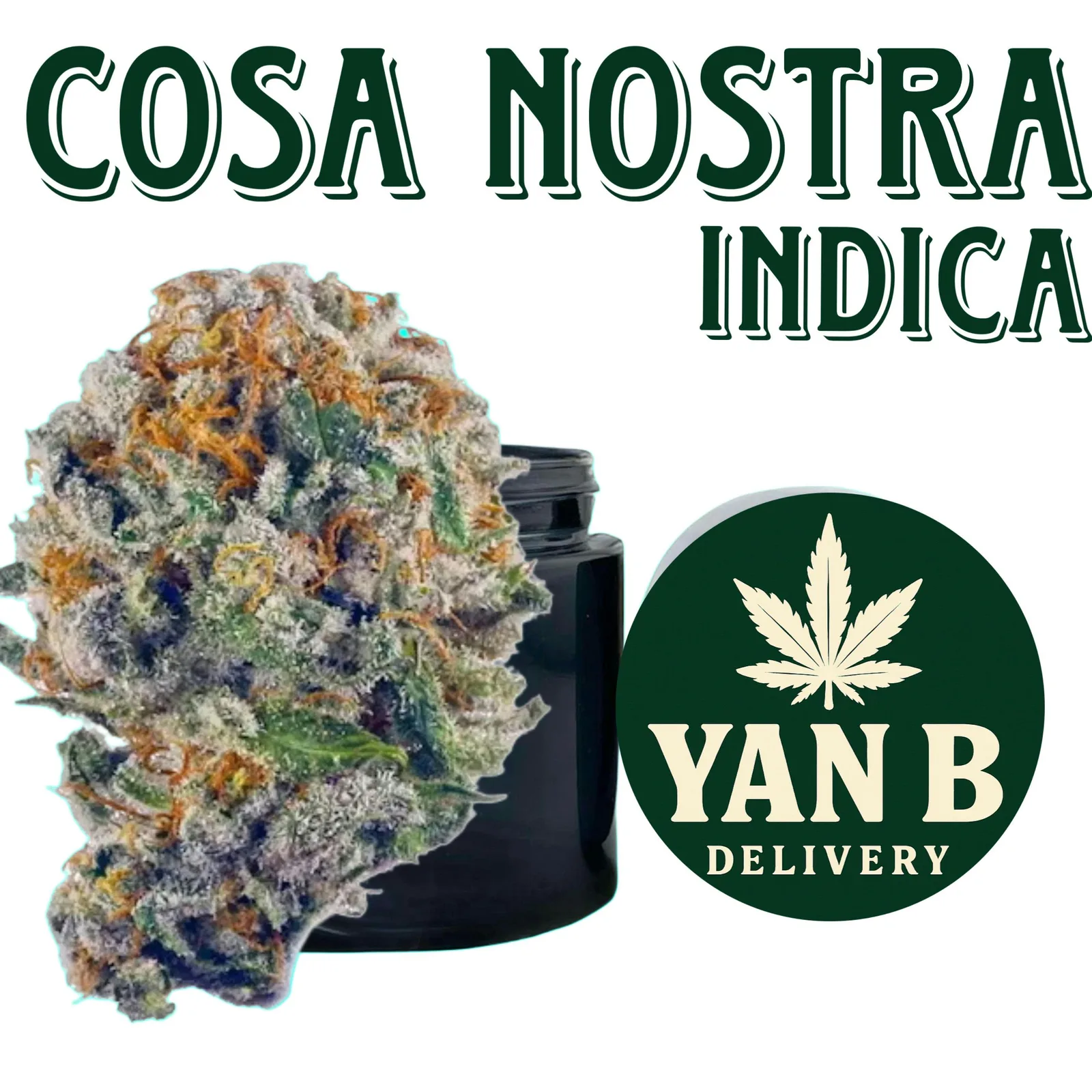 Cosa Nostra 14g (Indica) - Top Shelf Indoor Flower