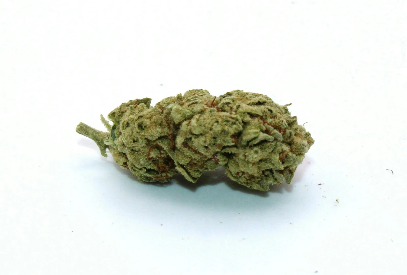 Black Ice - Sungrown
