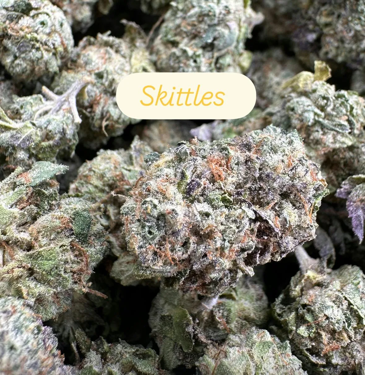 Skittlez - Top Shelf Indoor Half Oz $50