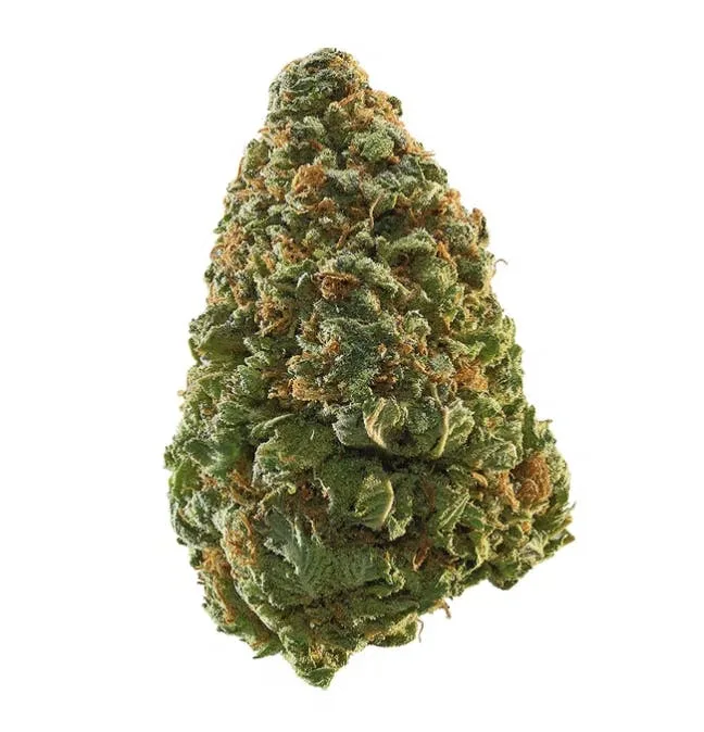 Caramel Apple Gelato - Hybrid - 30% THC