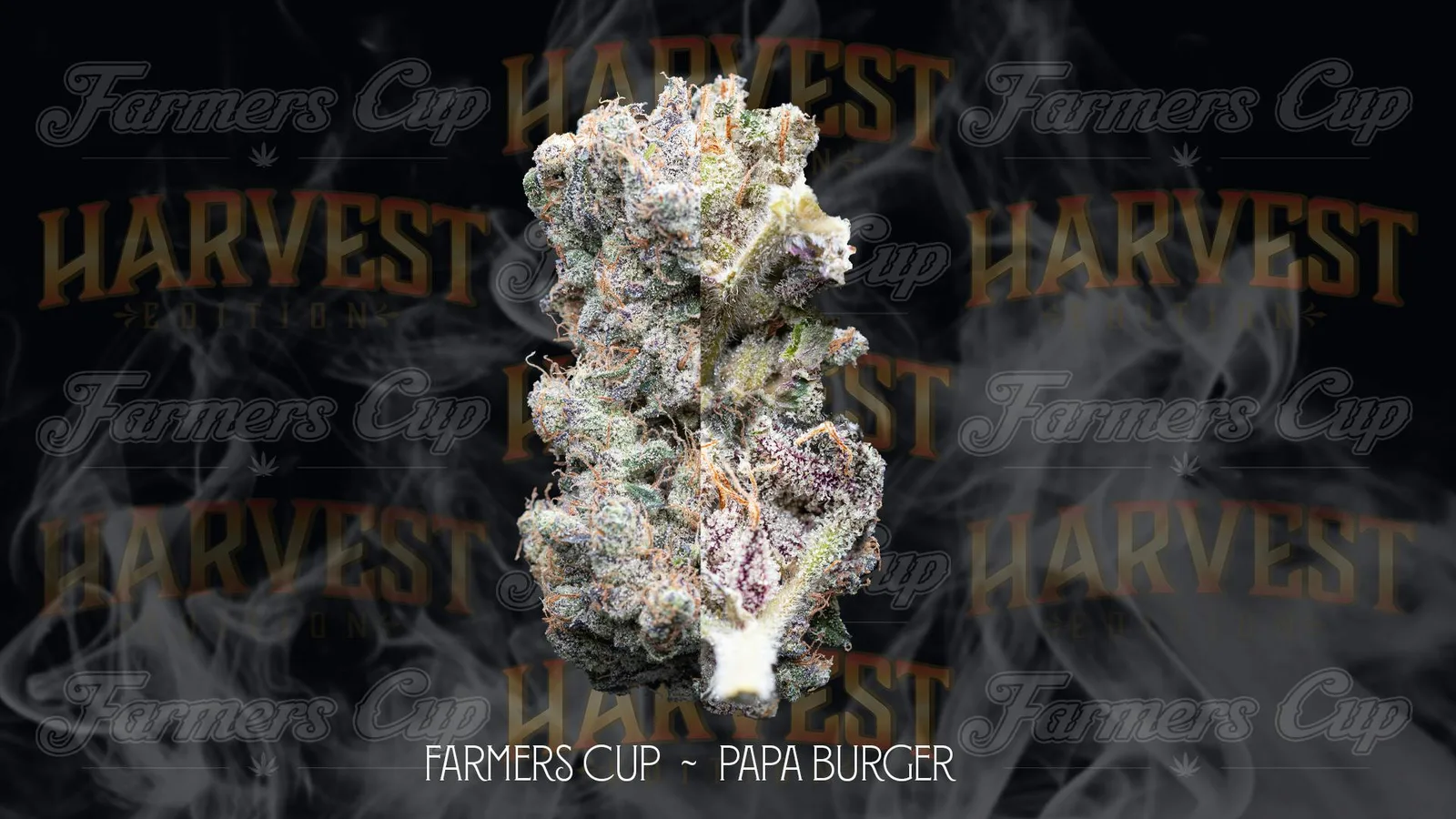 Papa Burger