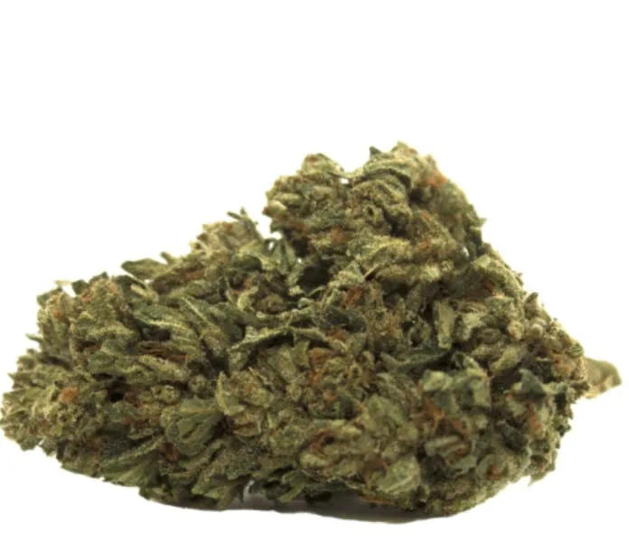 Cherry Pop Tartz - (Low-Shelf) - Hybrid
