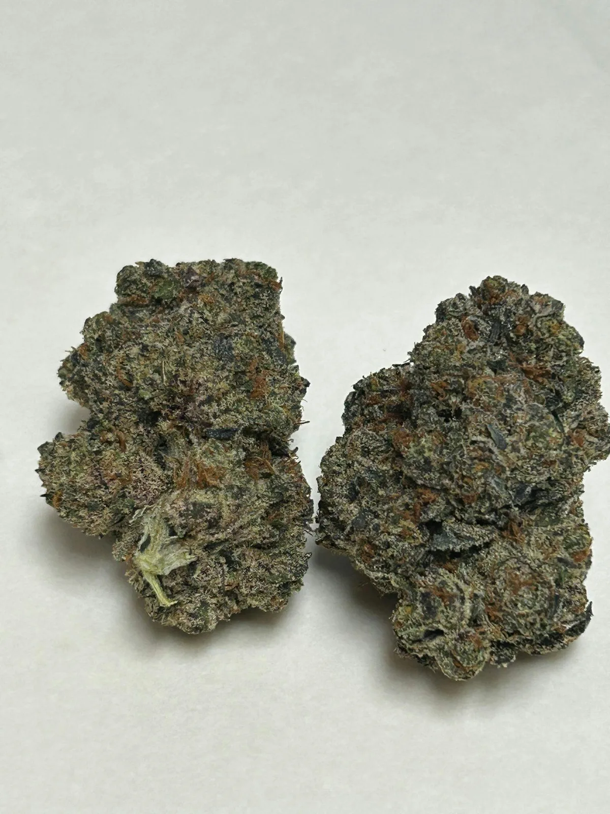 Iced Out Blizzard Budlet OZ (28g)