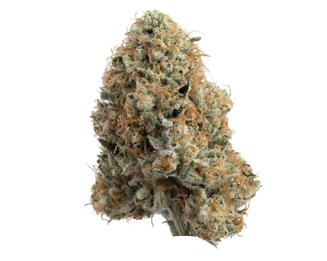 Green Dawg | Hawg | Joints | 1g each | 3pk