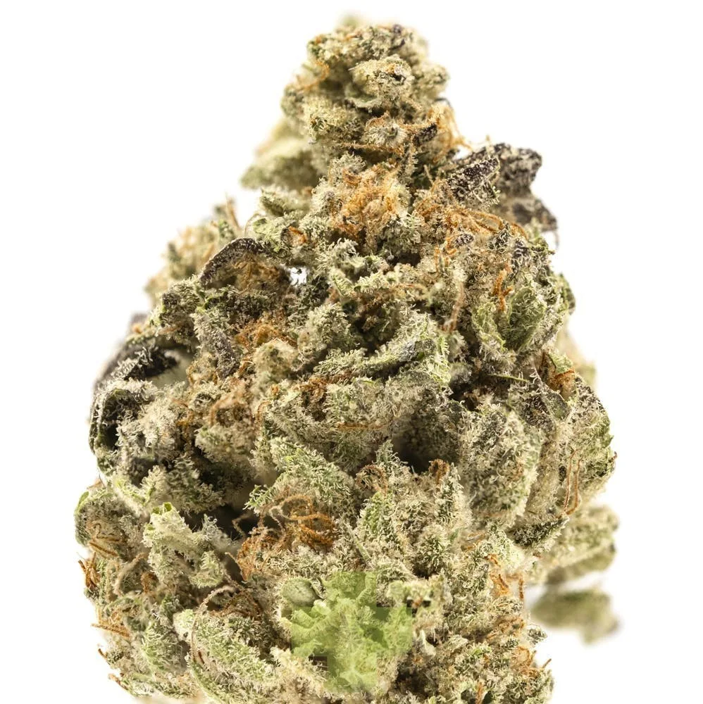 Soma Rosa - Grapes n Creme, SG - Eighth