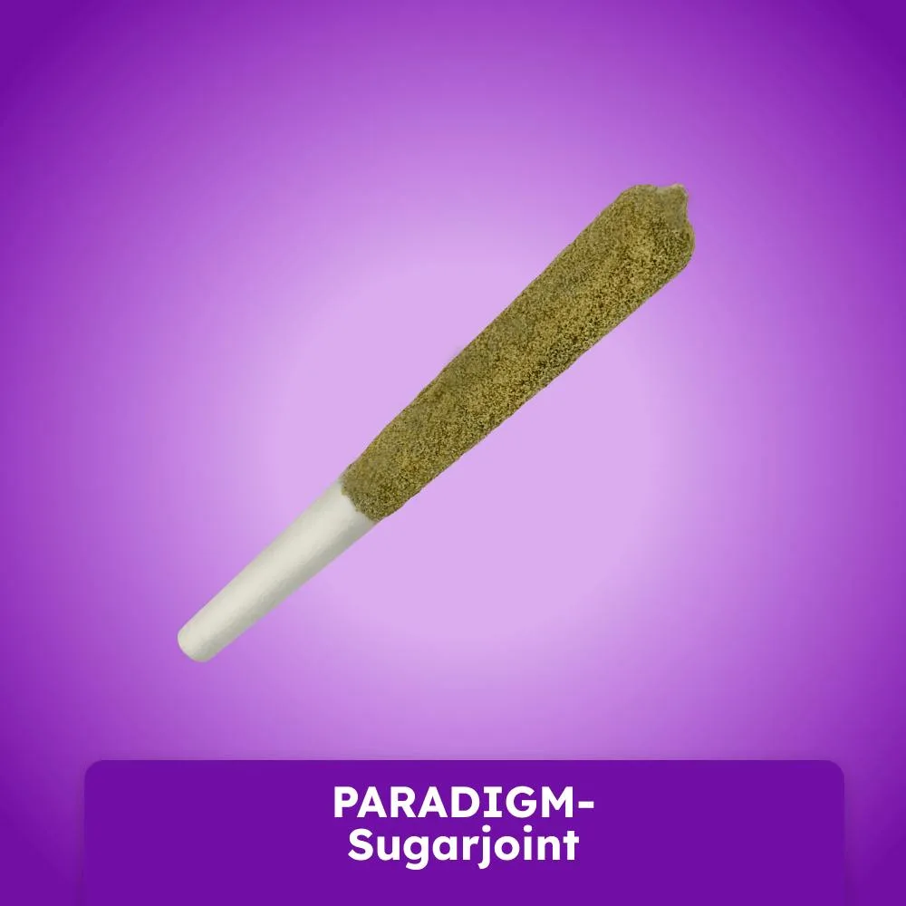 Sugarbudz - SB-PARADIGM-1g Sugarjoint
