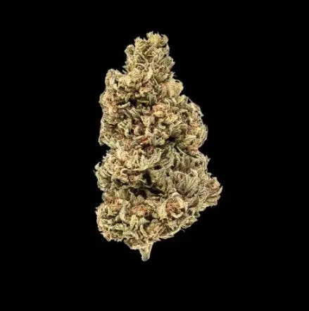 EARTH OG (INDICA) 26.81% THC TIER 3