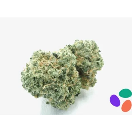 Delighted - Rainbow Runtz Premium Indoor Flower 3.5g - 3.5 g