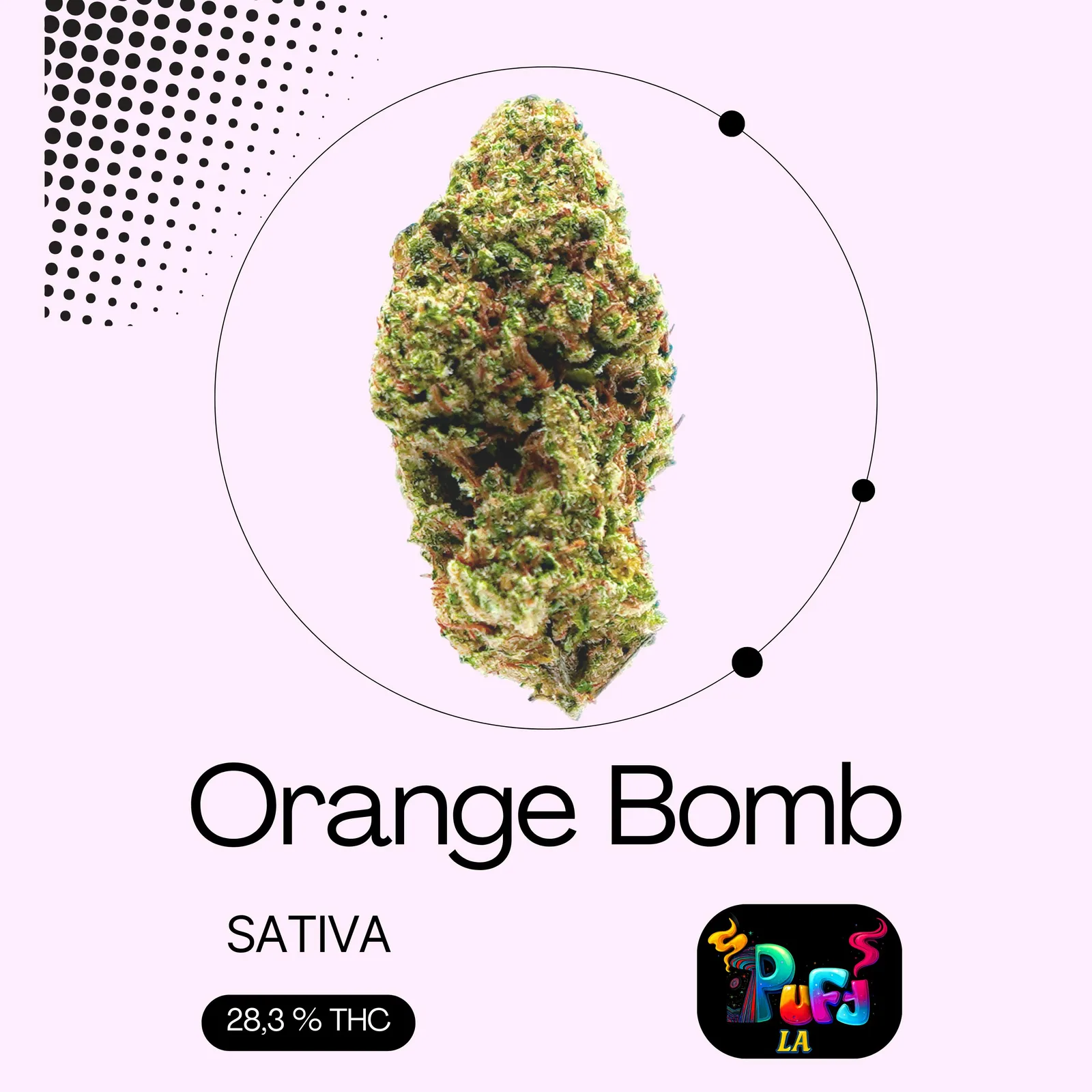 Orange Bomb - Premium Shelf Flower