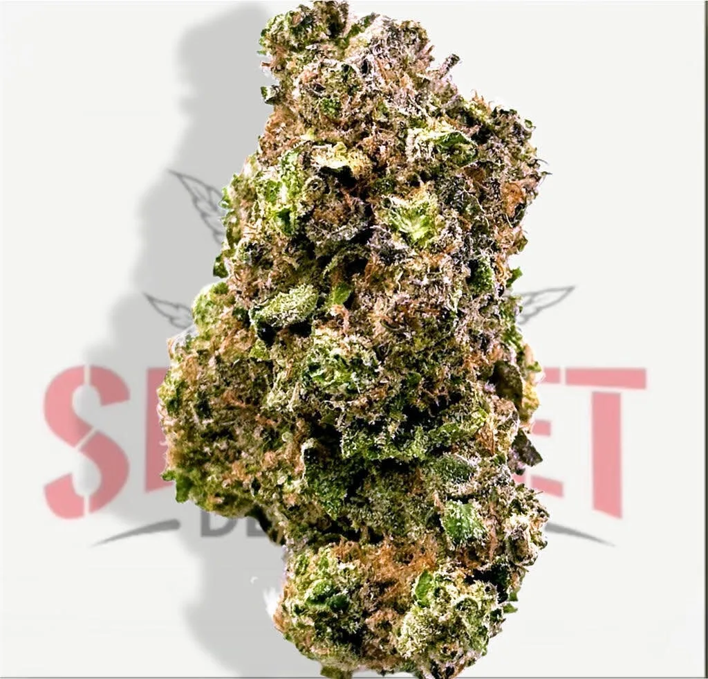 DOUBLE BURGER (32.63%) - INDICA - TIER 3