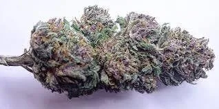 BLACK ICE 32.9%THC