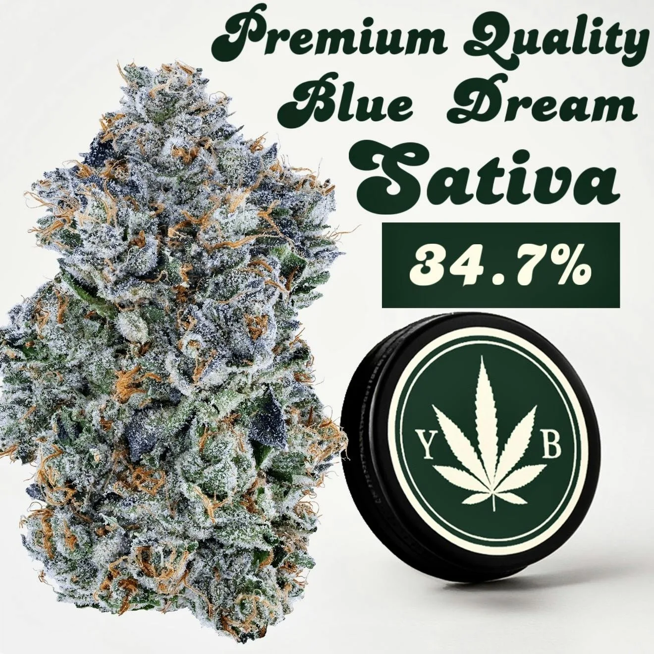 Blue Dream - 14G Premium Flower