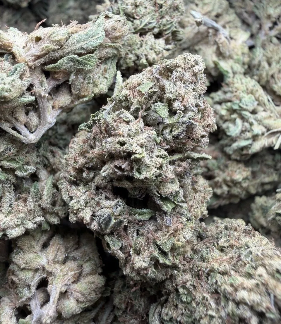 Wedding cake 🍰 $55 OZ Living soil Sungrown