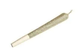 Hashtag Infused Preroll Pineapple Express 1.75g