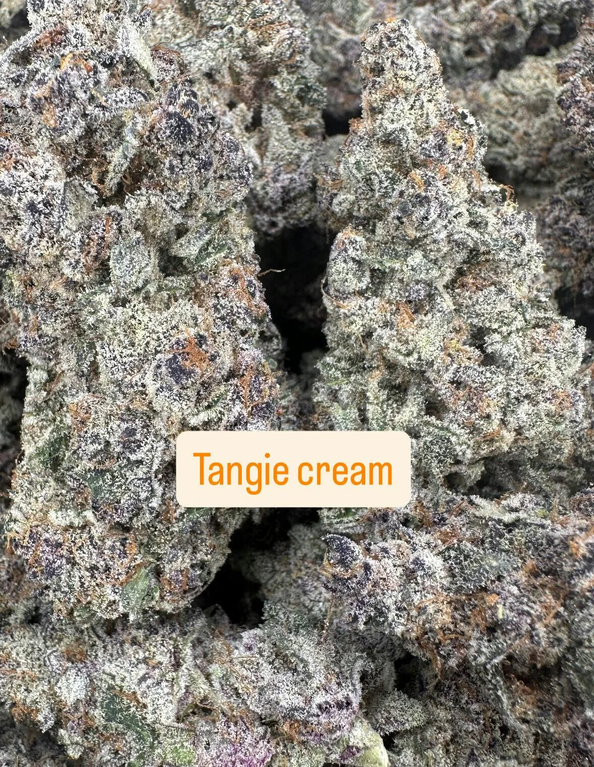 Tangerine Cream