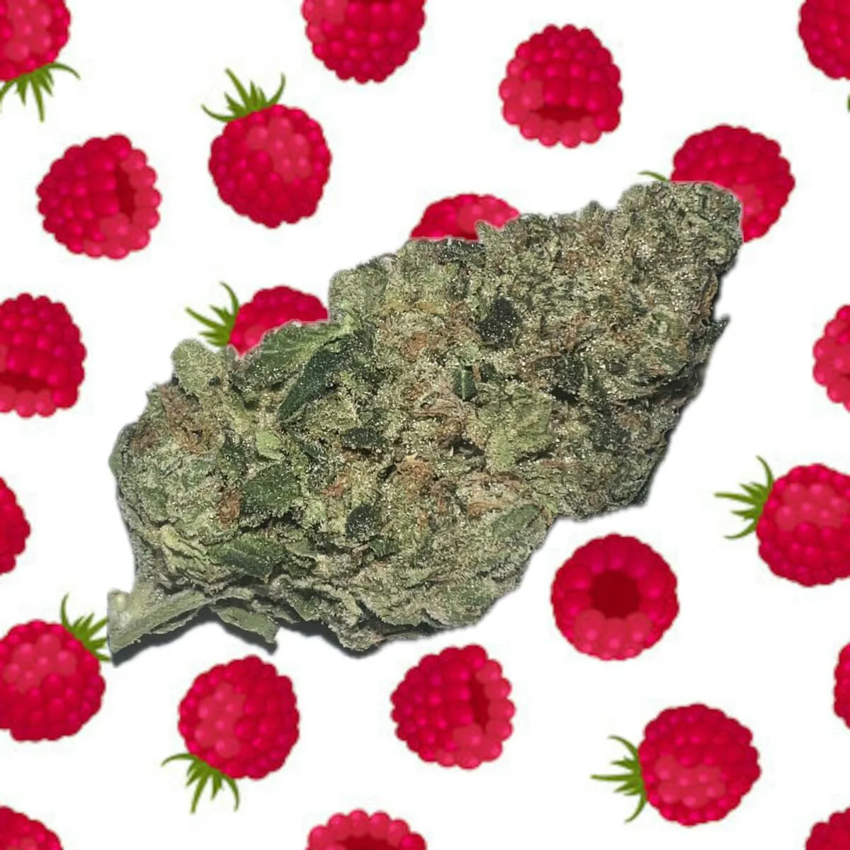 White Raspberry - 14 Grams Indica Flower