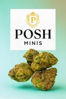 Posh Green - Pink Grapefruit 3.5 (indoo minis)