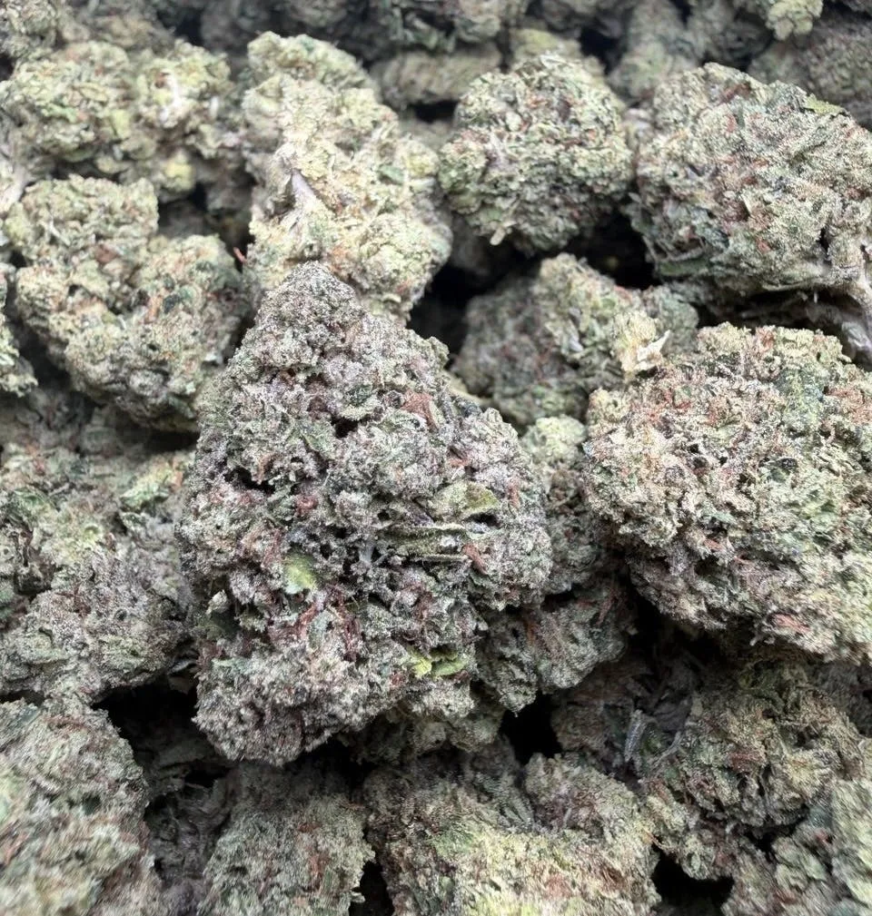 Obama Runtz $58 OZ Living soil Sungrown