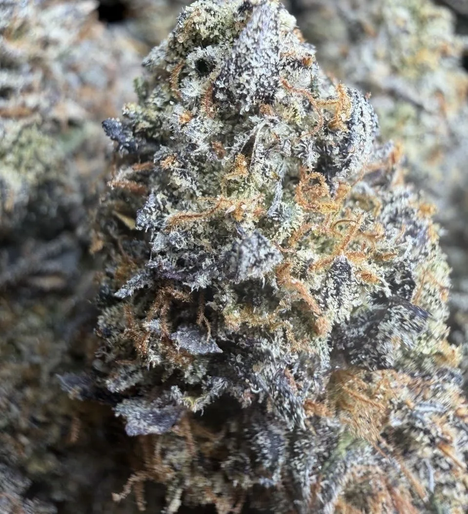 Cherry 🍒 Cream Puff 💨 Indoor $89/$119 Oz