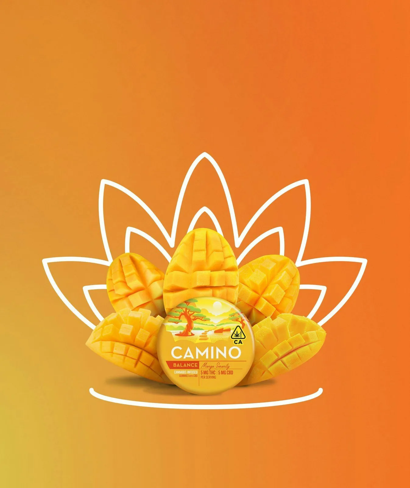 Kiva Camino Gummies - Mango Serenity (100mg THC/100mg CBD)