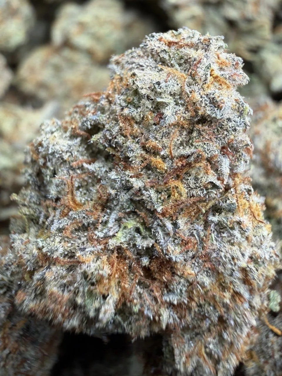 Marshmallow OG x Grape π Gas $79 half /$110 OZ indoor