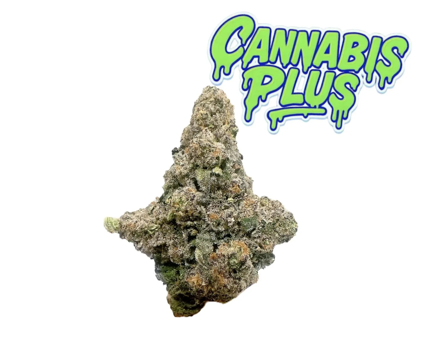 Tier 1 | Purple Fig | Hybrid