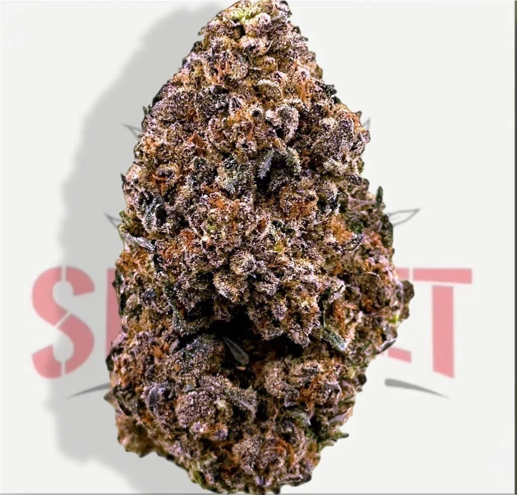 CRITICAL CURE (25.90%) - INDICA - OZ SPECIAL